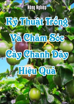 Ảnh Kỹ Thuật Trồng Và Chăm Sóc Cây Chanh Dây Hiệu Quả
