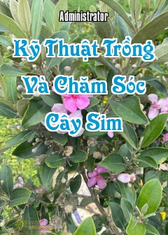 Ảnh Kỹ Thuật Trồng Và Chăm Sóc Cây Sim