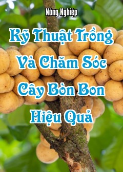 Ảnh Kỹ Thuật Trồng Và Chăm Sóc Cây Bòn Bon Hiệu Quả