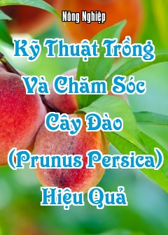Kỹ Thuật Trồng Và Chăm Sóc Cây Đào (Prunus Persica) Hiệu Quả