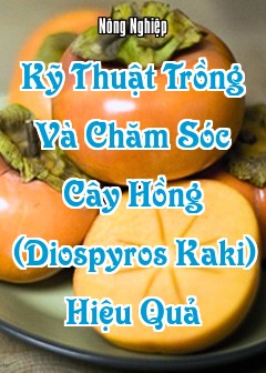 Kỹ Thuật Trồng Và Chăm Sóc Cây Hồng (Diospyros Kaki) Hiệu Quả