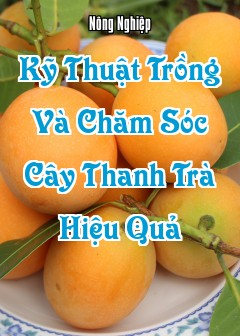 Kỹ Thuật Trồng Và Chăm Sóc Cây Thanh Trà (Bouea Macrophylla) Hiệu Quả