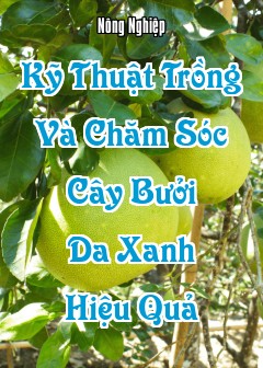 Kỹ Thuật Trồng Và Chăm Sóc Cây Bưởi Da Xanh Hiệu Quả