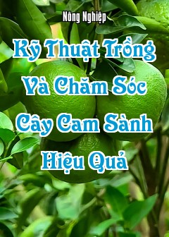 Kỹ Thuật Trồng Và Chăm Sóc Cây Cam Sành Hiệu Quả