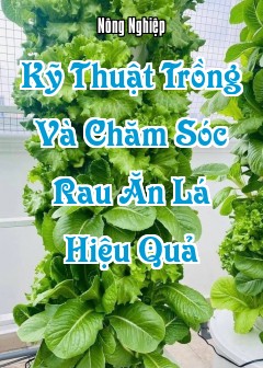 Kỹ Thuật Trồng Và Chăm Sóc Rau Ăn Lá Hiệu Quả