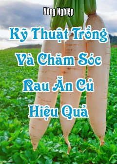 Kỹ Thuật Trồng Và Chăm Sóc Rau Ăn Củ Hiệu Quả