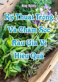 Kỹ Thuật Trồng Và Chăm Sóc Rau Gia Vị Hiệu Quả