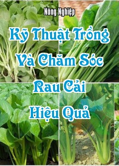 Kỹ Thuật Trồng Và Chăm Sóc Rau Cải Hiệu Quả