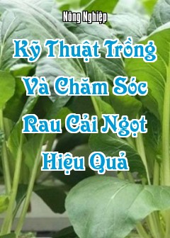 Kỹ Thuật Trồng Và Chăm Sóc Rau Cải Ngọt Hiệu Quả