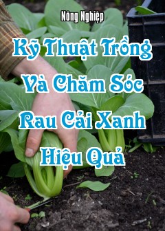 Kỹ Thuật Trồng Và Chăm Sóc Rau Cải Xanh Hiệu Quả