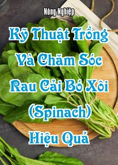 Kỹ Thuật Trồng Và Chăm Sóc Rau Cải Bó Xôi (Spinach) Hiệu Quả