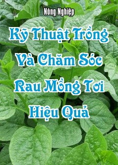 Kỹ Thuật Trồng Và Chăm Sóc Rau Mồng Tơi Hiệu Quả