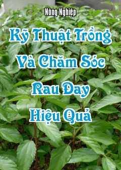 Kỹ Thuật Trồng Và Chăm Sóc Rau Đay Hiệu Quả