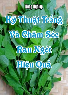 Kỹ Thuật Trồng Và Chăm Sóc Rau Ngót Hiệu Quả