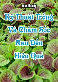 Kỹ Thuật Trồng Và Chăm Sóc Rau Dền Hiệu Quả