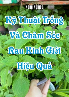 Kỹ Thuật Trồng Và Chăm Sóc Rau Kinh Giới Hiệu Quả