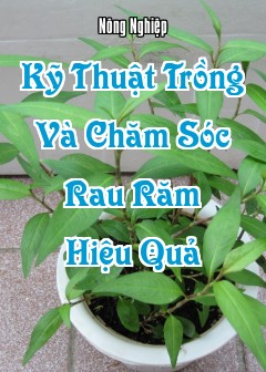 Kỹ Thuật Trồng Và Chăm Sóc Rau Răm Hiệu Quả