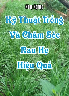 Kỹ Thuật Trồng Và Chăm Sóc Rau Hẹ Hiệu Quả