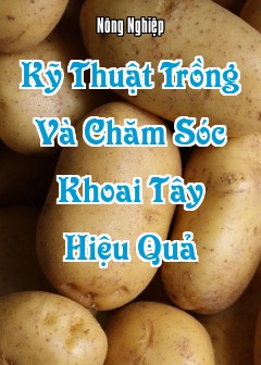Ảnh Kỹ Thuật Trồng Và Chăm Sóc Khoai Tây Hiệu Quả