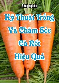 Kỹ Thuật Trồng Và Chăm Sóc Cà Rốt Hiệu Quả