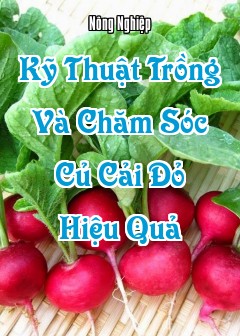 Kỹ Thuật Trồng Và Chăm Sóc Củ Cải Đỏ Hiệu Quả