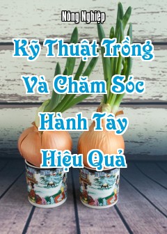 Kỹ Thuật Trồng Và Chăm Sóc Hành Tây Hiệu Quả