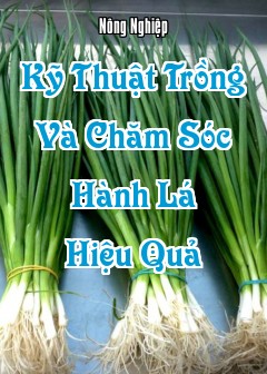 Kỹ Thuật Trồng Và Chăm Sóc Hành Lá Hiệu Quả