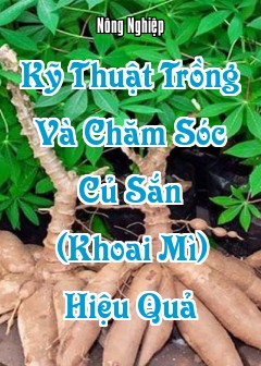 Ảnh Kỹ Thuật Trồng Và Chăm Sóc Củ Sắn (Khoai Mì) Hiệu Quả