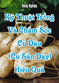 Ảnh Kỹ Thuật Trồng Và Chăm Sóc Củ Đậu (Củ Sắn Dây) Hiệu Quả