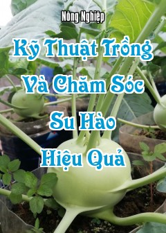 Kỹ Thuật Trồng Và Chăm Sóc Su Hào Hiệu Quả