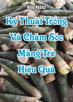 Kỹ Thuật Trồng Và Chăm Sóc Măng Hiệu Quả