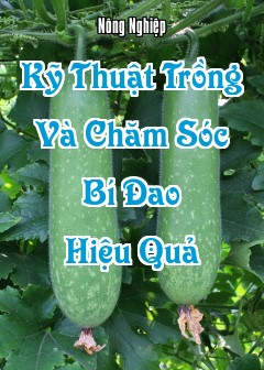 Kỹ Thuật Trồng Và Chăm Sóc Bí Đao Hiệu Quả