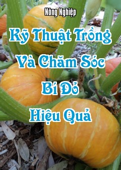 Kỹ Thuật Trồng Và Chăm Sóc Bí Đỏ Hiệu Quả
