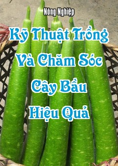 Kỹ Thuật Trồng Và Chăm Sóc Cây Bầu Hiệu Quả