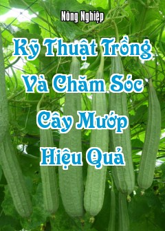 Kỹ Thuật Trồng Và Chăm Sóc Cây Mướp Hiệu Quả
