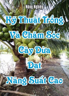 Ảnh Kỹ Thuật Trồng Và Chăm Sóc Cây Dừa Đạt Năng Suất Cao