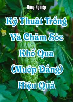 Kỹ Thuật Trồng Và Chăm Sóc Khổ Qua (Mướp Đắng) Hiệu Quả