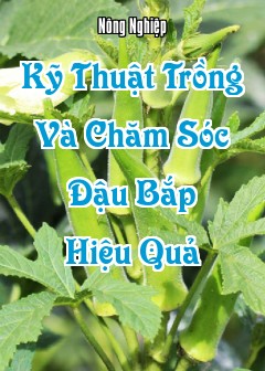 Kỹ Thuật Trồng Và Chăm Sóc Đậu Bắp Hiệu Quả