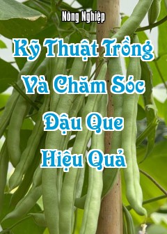 Kỹ Thuật Trồng Và Chăm Sóc Đậu Que Hiệu Quả