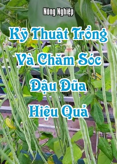 Kỹ Thuật Trồng Và Chăm Sóc Đậu Đũa Hiệu Quả