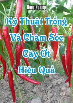Ảnh Kỹ Thuật Trồng Và Chăm Sóc Cây Ớt Hiệu Quả
