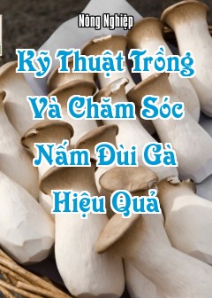 Ảnh Kỹ Thuật Trồng Và Chăm Sóc Nấm Đùi Gà (King Oyster Mushroom) Hiệu Quả