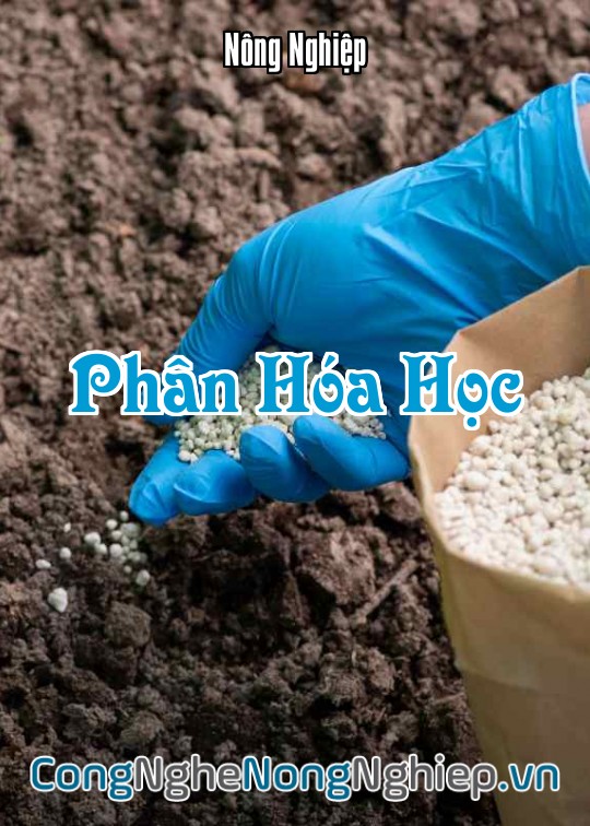 Ảnh bìa sách Phân Hóa Học
