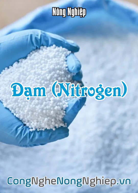 Ảnh bìa sách Đạm (Nitrogen)