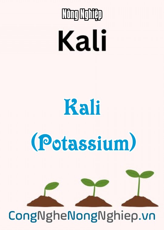 Ảnh bìa sách Kali (Potassium)