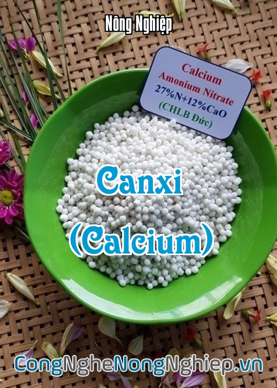Ảnh bìa sách Canxi (Calcium)