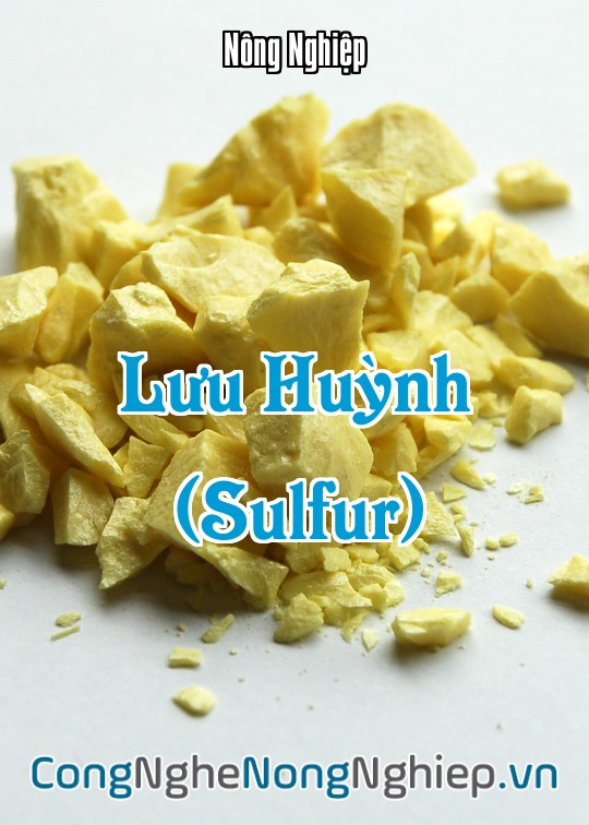 Ảnh bìa sách Lưu Huỳnh (Sulfur)
