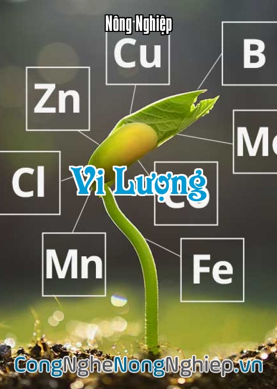 Ảnh bìa sách Vi Lượng