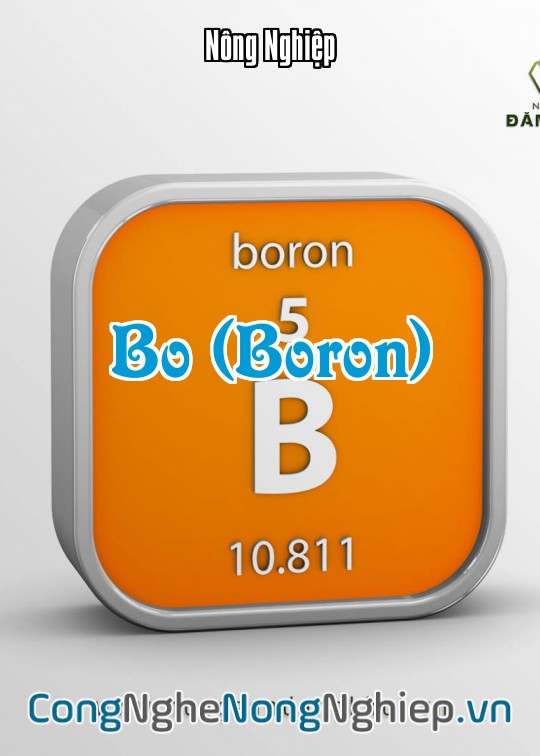 Ảnh bìa sách Bo (Boron)