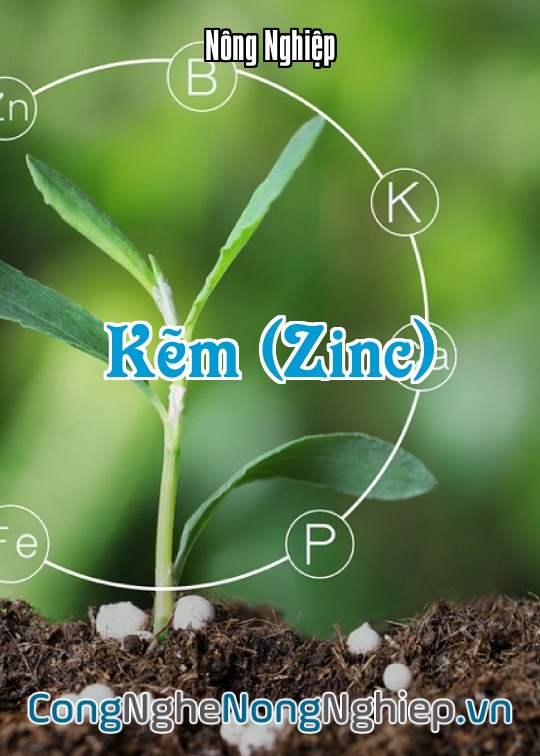 Ảnh bìa sách Kẽm (Zinc)
